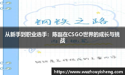 从新手到职业选手：陈磊在CSGO世界的成长与挑战
