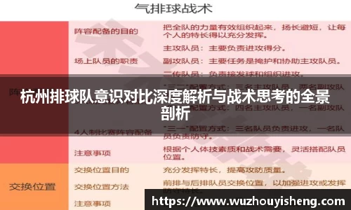 杭州排球队意识对比深度解析与战术思考的全景剖析