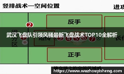 武汉飞盘队引领风骚最新飞盘战术TOP10全解析