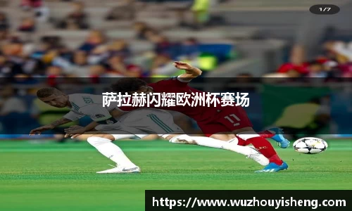 萨拉赫闪耀欧洲杯赛场