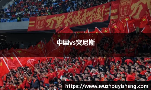中国vs突尼斯