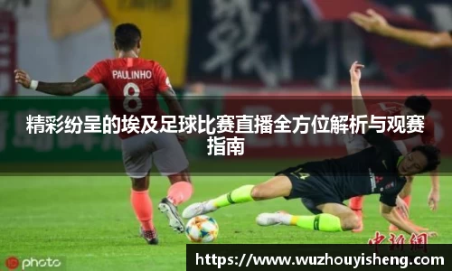 精彩纷呈的埃及足球比赛直播全方位解析与观赛指南