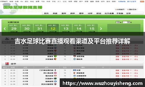 吉水足球比赛直播观看渠道及平台推荐详解