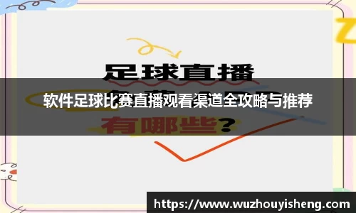 软件足球比赛直播观看渠道全攻略与推荐