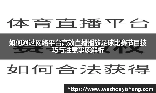 如何通过网络平台高效直播播放足球比赛节目技巧与注意事项解析