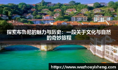 探索布鲁尼的魅力与历史：一段关于文化与自然的奇妙旅程