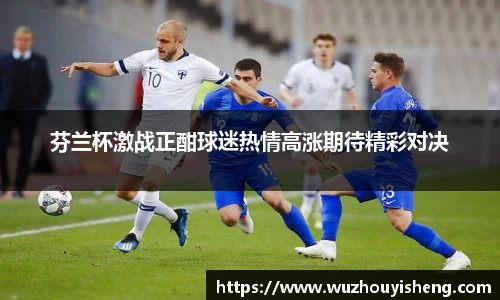 芬兰杯激战正酣球迷热情高涨期待精彩对决