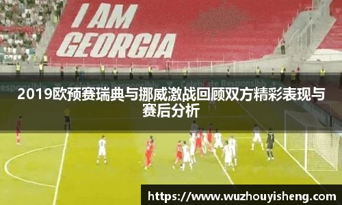2019欧预赛瑞典与挪威激战回顾双方精彩表现与赛后分析